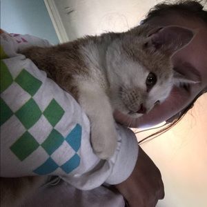 Meet your Posher, Selah